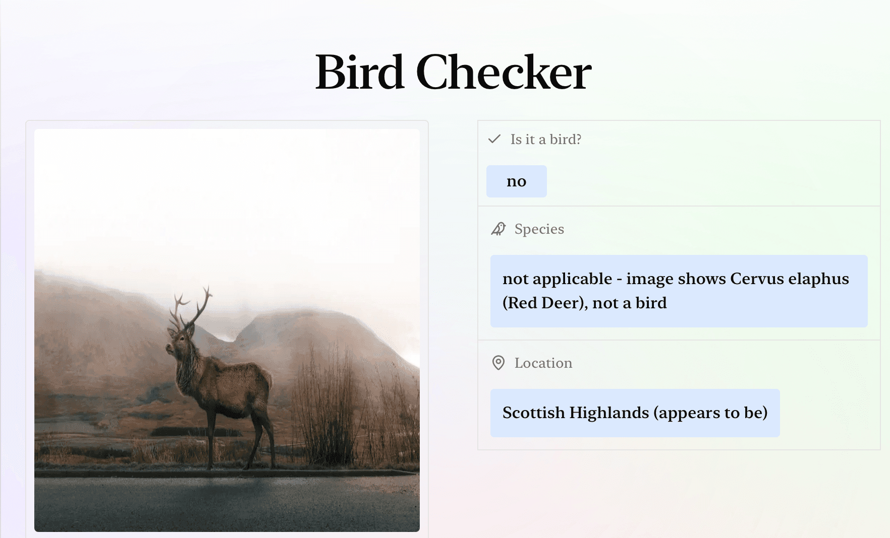 Bird Checker